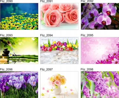 FOTOTAPETA KWIATY CZERWONE TULIPANY BIAŁE SERCE na Arena.pl