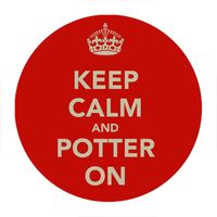 Przypinka Harry Potter