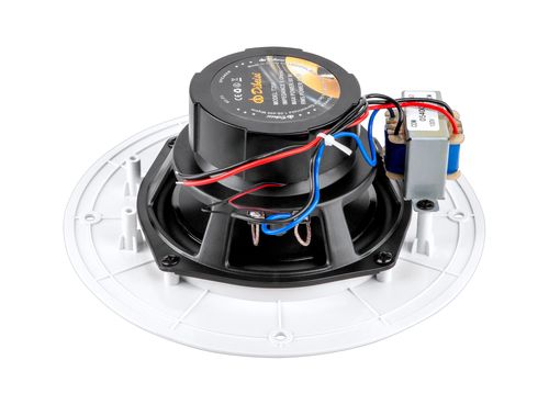 Głośnik sufitowy na Arena.pl