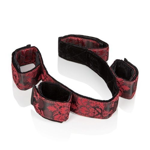 scandal bondage bar na Arena.pl
