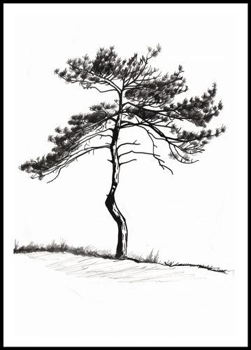 Plakat 68x98cm Samotna Sosna na Arena.pl