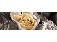 90 80CM OBRAZ T3 ELEM DELIKATNA RÓŻA DRUK ŚCIENNY