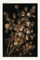 Plakat 61x91,5cm Japońskie Jesienne Kwiaty, G.A. Audsley do Salonu