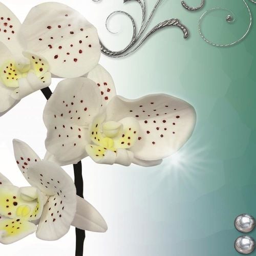 Deco Panel, Storczyk w plamki 90x60 na Arena.pl