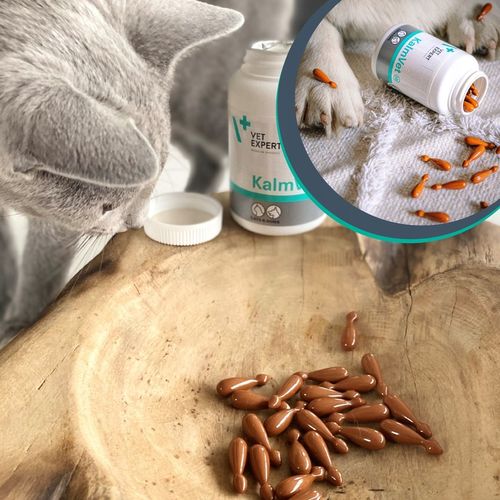 Preparat dla psów i kotów na stres Vet Expert Kalmvet 60 kapsułek twist-off na Arena.pl