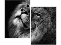 80X70CM SREBRNY LEW DUO OBRAZ