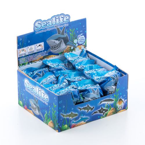 Jajko z Rybką Junior Knows na Arena.pl