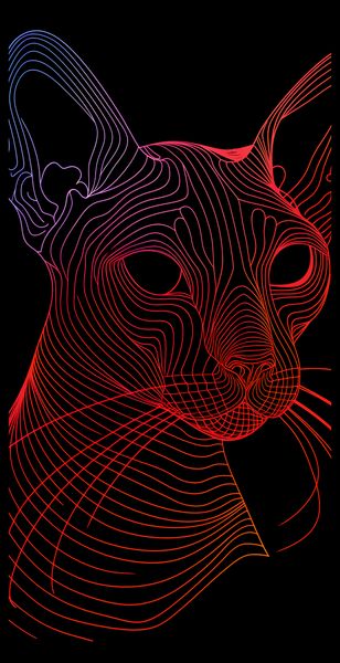 Plakat 50x100cm Cyfrowa Kocica zdjęcie 2