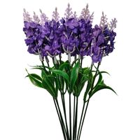 Lawenda pik 12 szt. fioletowa