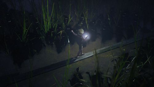 Bramble: The Mountain King CD KEY KOD BEZ VPN 24/7 na Arena.pl