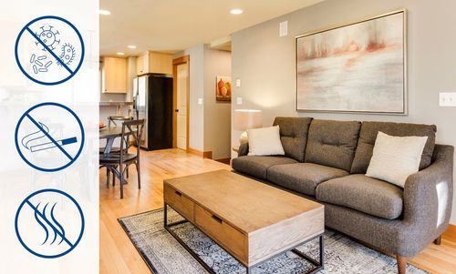 GENERATOR OZONU OZONATOR OCZYSZCZACZ CZASOMIERZ NEUTRALIZATOR ZAPACHU na Arena.pl