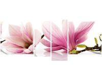 product-compare-58700876