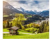 product-compare-58647648