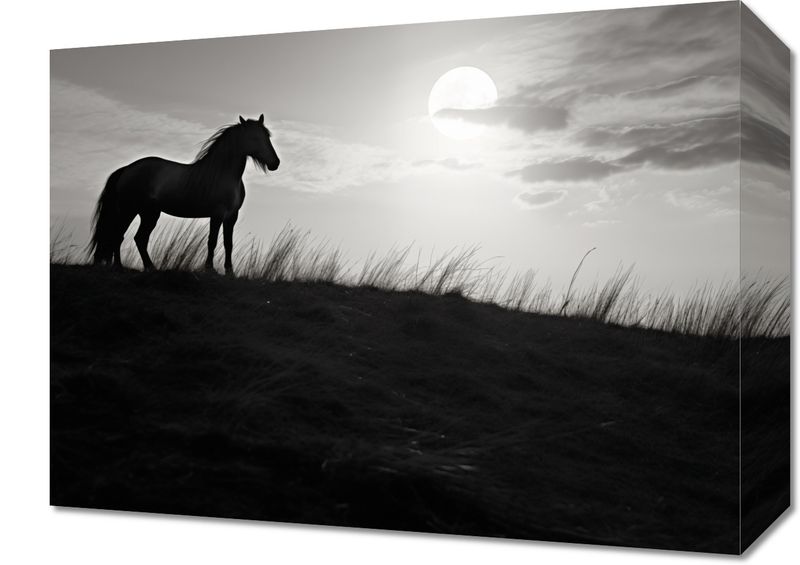 Obraz 40x30cm Księżycowa Straż zdjęcie 1