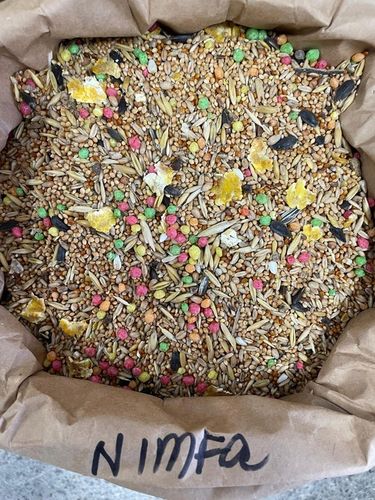 Karma Premium Dla Papug Średnich Nimfa Rudosterka z Słonecznikiem 10 KG na Arena.pl