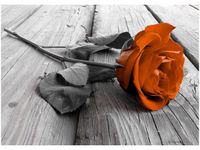 50X70CM RÓŻA HEBRACIANA OBRAZ POKOJU DREWNINE