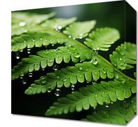 Obraz 30x30cm Szepty Natury