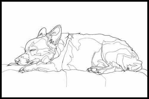 Plakat 86,4x56,8cm Śpiący Psiak na Arena.pl