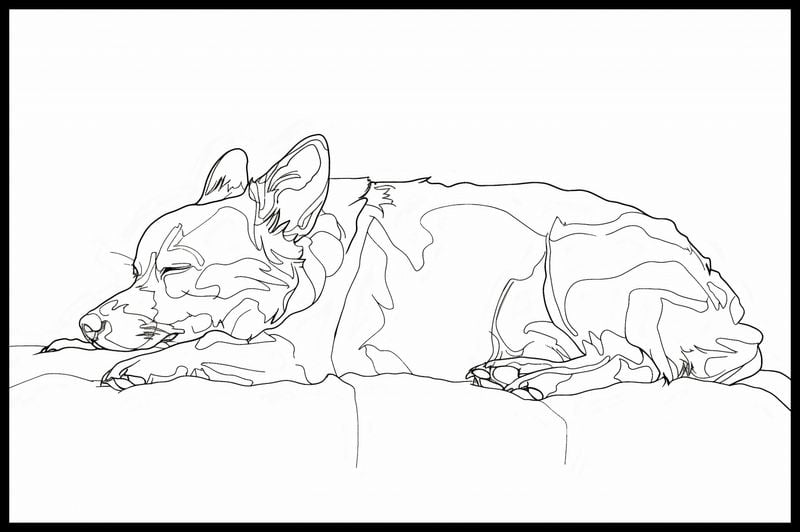 Plakat 86,4x56,8cm Śpiący Psiak zdjęcie 2