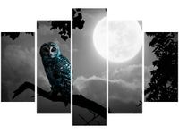 product-compare-58696816