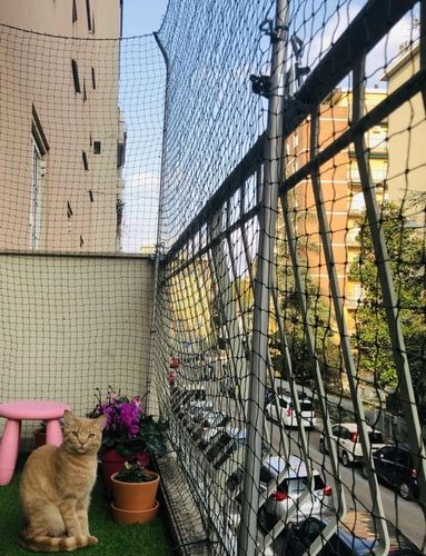 Siatka wzmacniana Trixie dla kota na balkon 3x2 m na Arena.pl