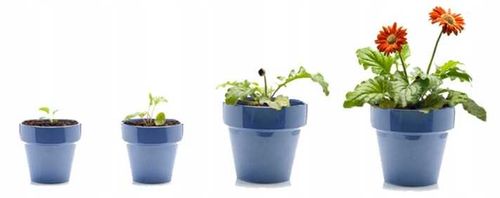 LAMPA Z ŻARÓWKA E27 DO WZROSTU UPRAWY ROŚLIN PANEL FULL SPECTRUM 20W 200LED na Arena.pl