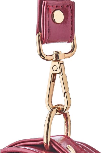 Blaze Elite Collar And Leash Red zdjęcie 5