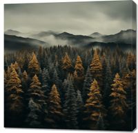 product-compare-59468479