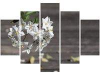 product-compare-58696348