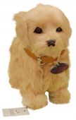 INTERAKTYWNY PIESEK reaguje na dotyk CHODZI SZCZEKA GOLDEN RETRIEVER