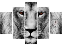 product-compare-58638858