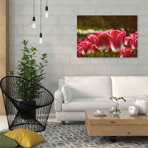 Deco Panel, Kwitnące tulipany 90x60 na Arena.pl