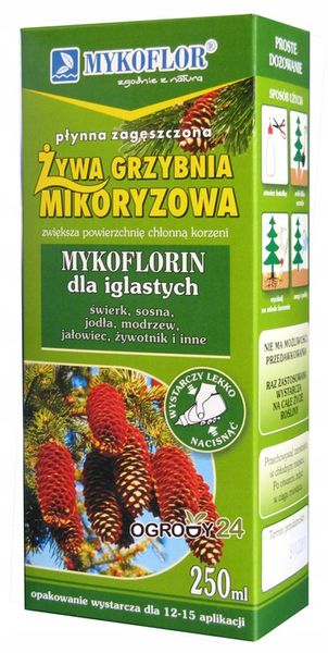 Mikoryza dla DRZEW IGLASTYCH grzybnia zdjęcie 1