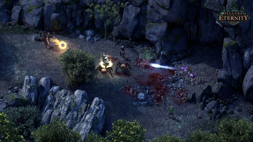 Pillars of Eternity Definitive Edition na Arena.pl