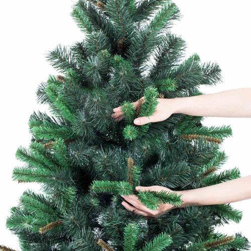 CS/JODŁA/WIERA/180 na Arena.pl