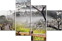 product-compare-58639105