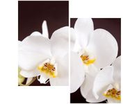 60X60CM PIĘKNY STORCZYK DWU OBRAZ ŚCIAN