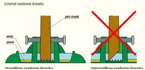 Stojak choinkowy Bost plastikowy zielony 60 cm na Arena.pl