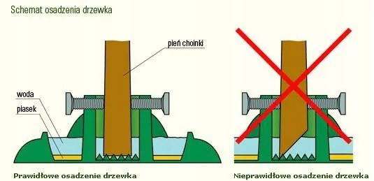 Stojak choinkowy Bost plastikowy zielony 60 cm zdjęcie 4