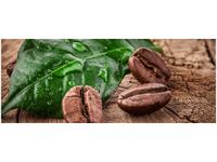 100X40CM ZIARNA KAWY DESCE OBRAZ DREWNO