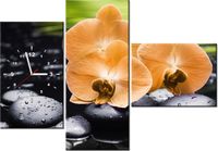 product-compare-58639846