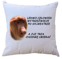 Poduszka dla Janusza