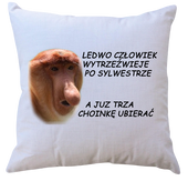 Poduszka dla Janusza