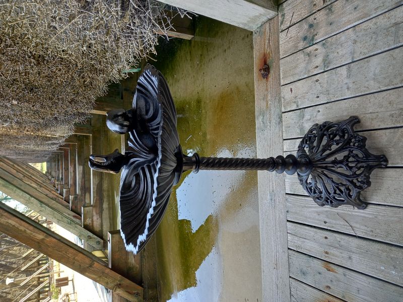 PIĘKNE POIDEŁKO-KARMNIK OGRODOWY zdjęcie 6