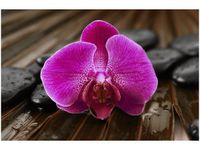 60X40CM STORCZYK ANETY OBRAZ