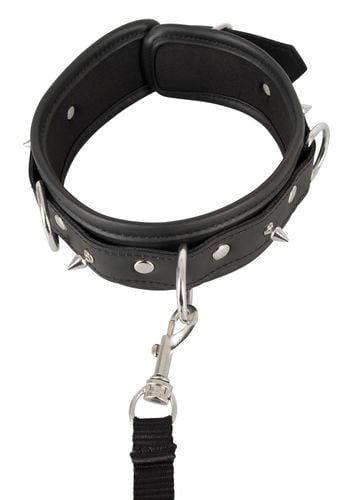 Collar vegan na Arena.pl