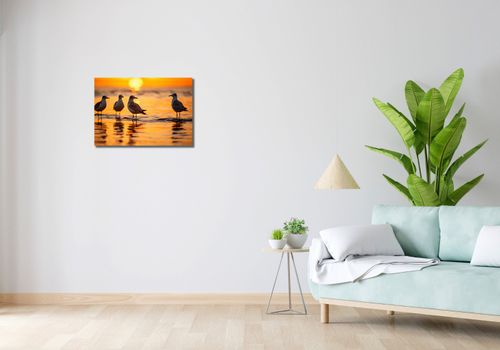 Obraz 60x40cm Mewia Gawęda na Arena.pl