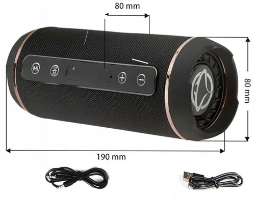 Głośnik bluetooth Manta SPK13GO czarny 10 W na Arena.pl