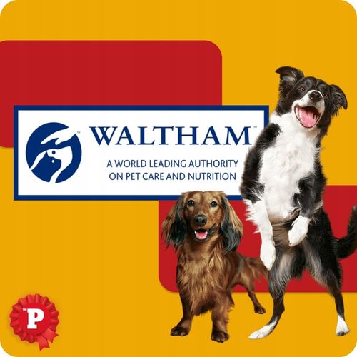 MOKRA KARMA DLA PSA PEDIGREE MIX SMAKÓW W GALARETCE SASZETKI 40X100 G na Arena.pl