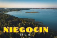 Niegocin – magnes